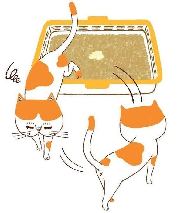 ○○がある・ないのサインでわかる猫の病気