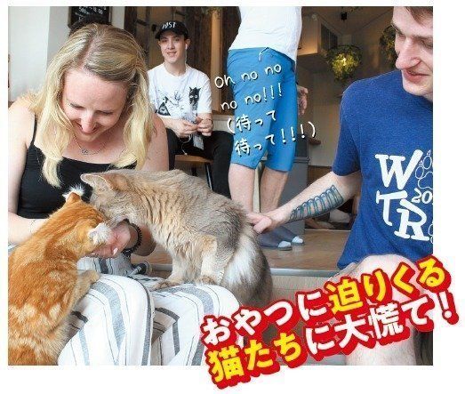 画像/ねこのきもち2018年11月号