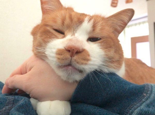 アゴを乗せるマナくん