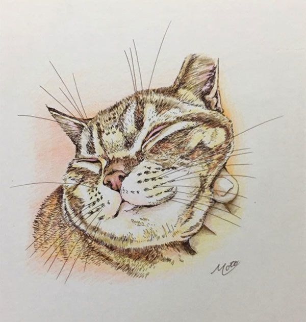 ペン画