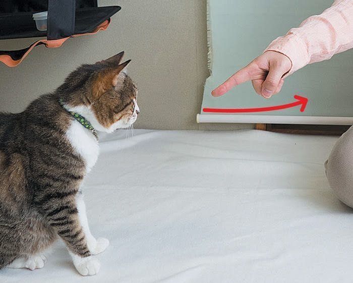 おいで3