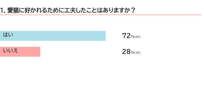 猫に好かれるための工夫は?