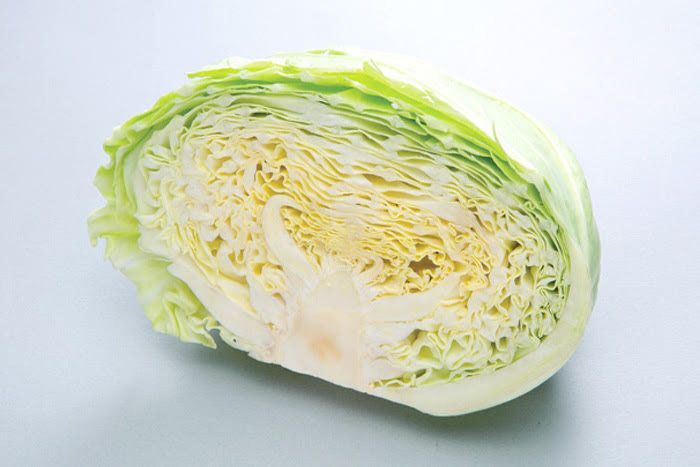 キャベツ