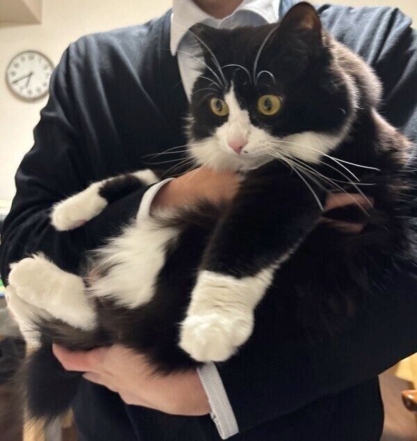 おててがぬいぐるみのようなテトちゃん