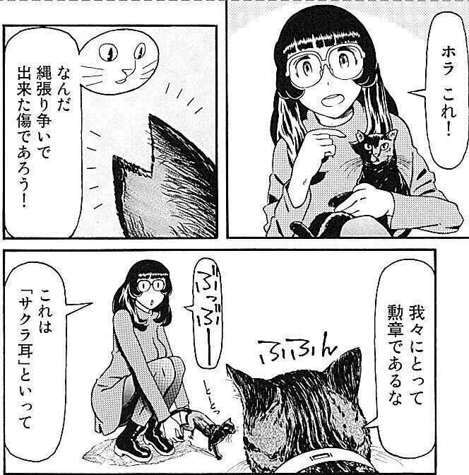 ©渡辺慎一/講談社