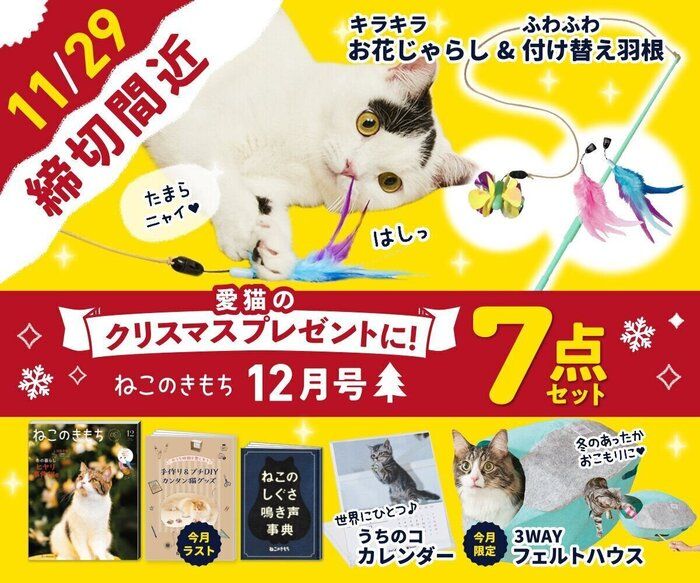 ねこのきもちWEB MAGAZINE｜それでもやっぱり猫が好き