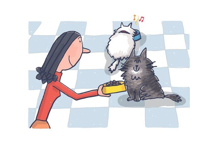 画像/ねこのきもち2020年1月号『猫の病気、そこが知りたい!』
