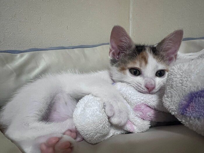 お昼寝から目覚めた二二ちゃん