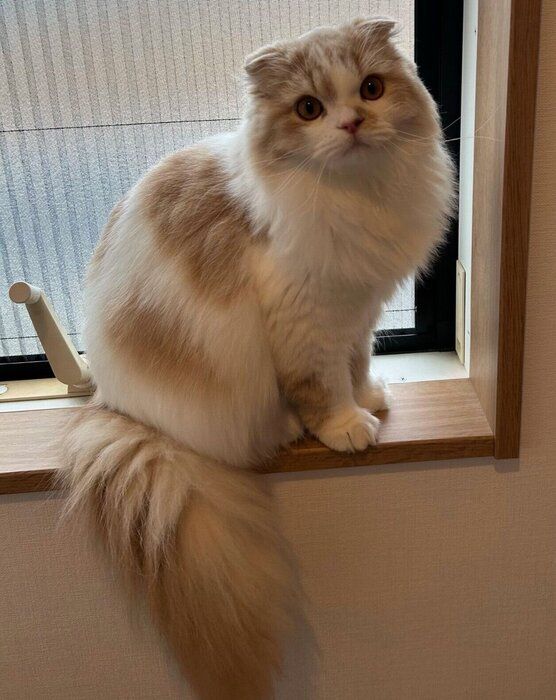 生後8カ月になったらいくん