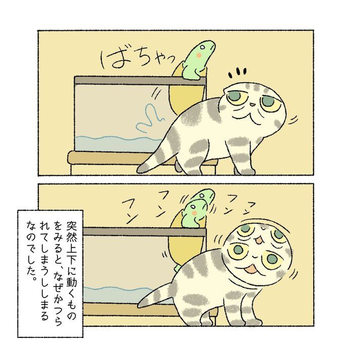 @tacos_cat