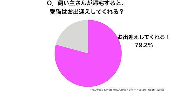 飼い主さんが帰宅すると、愛猫はお出迎えしてくれる?