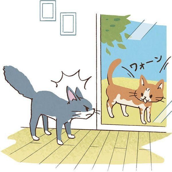 ノラ猫にストレスを感じる猫