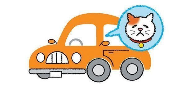 車