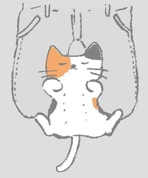 乳がん ねこ