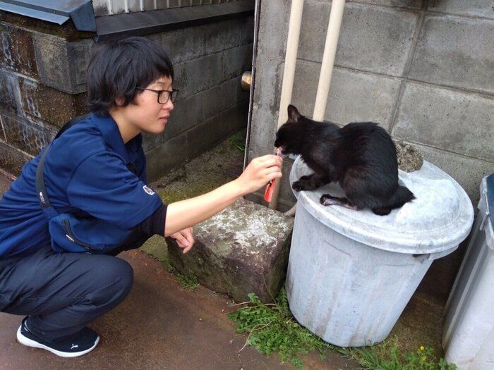 画像提供／猫から目線。