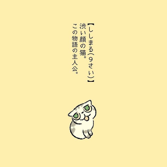 @tacos_cat