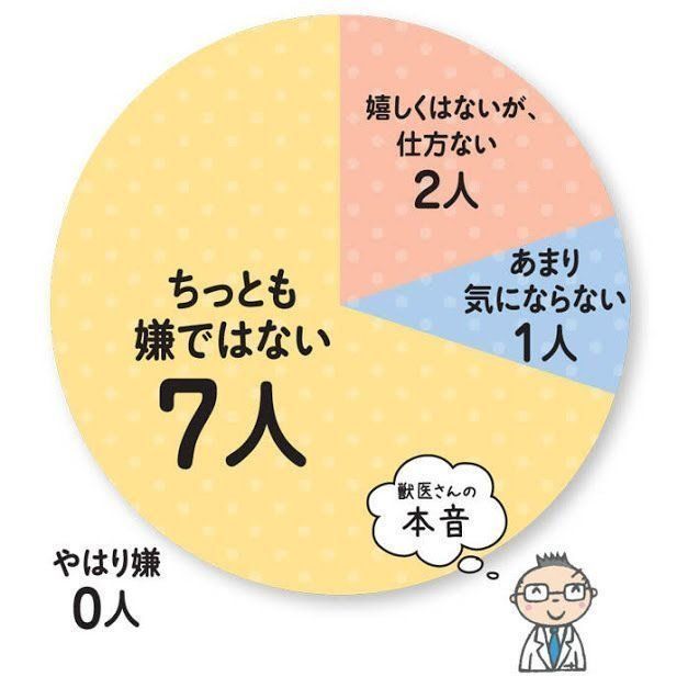 イラスト/かつまたひろこ