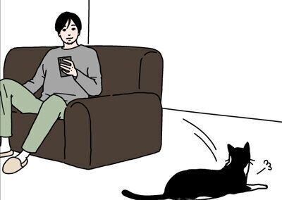猫の道は長い 猫の道は長い
