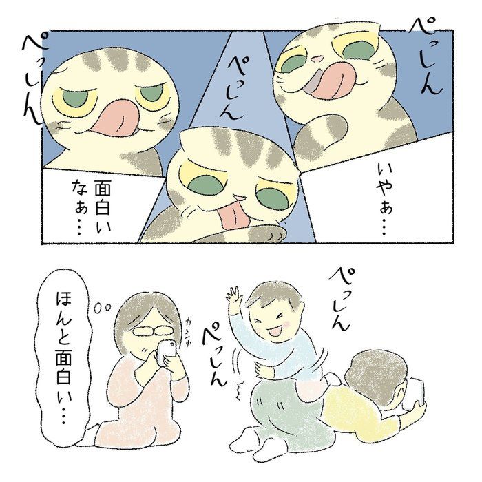 @tacos_cat