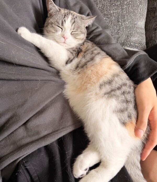 甘え方が天才すぎる彩春ちゃん