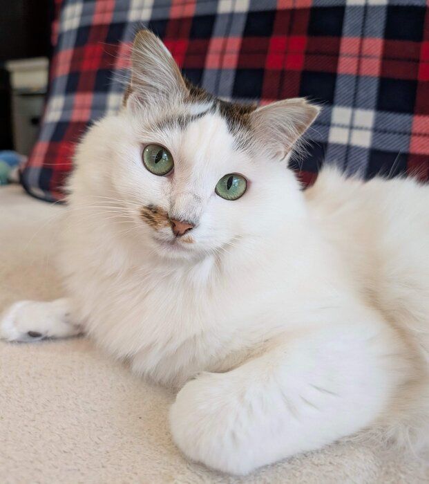 見つめるリズちゃん。