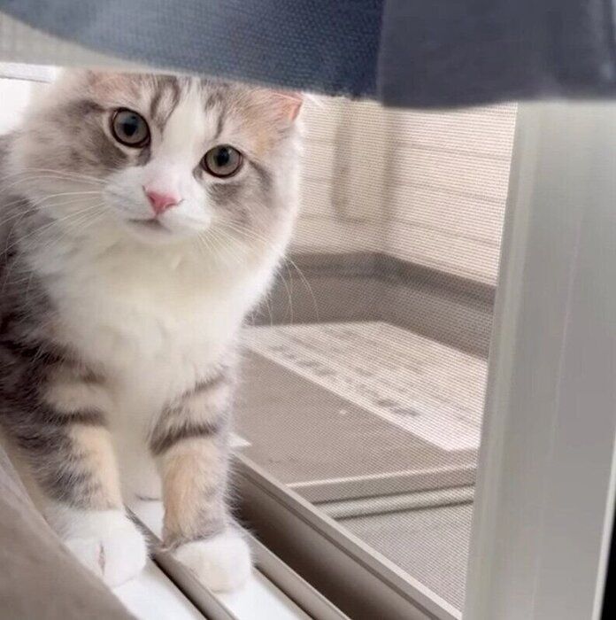 窓際が大好きな霖くん