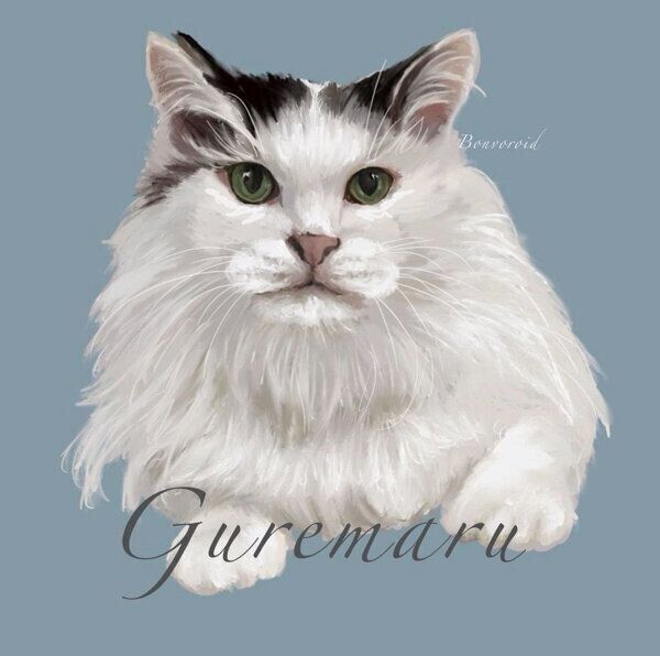 Bonvoroidの猫作品