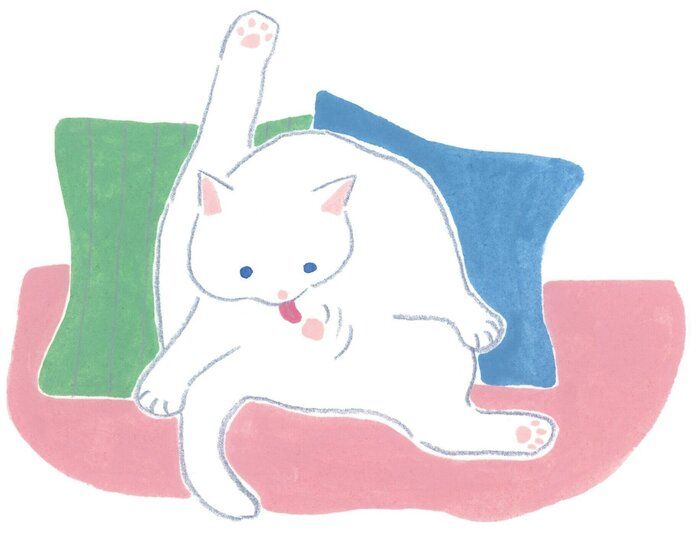 イラスト/カトウナミエ