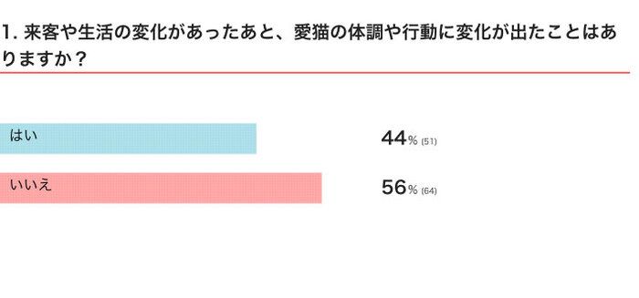 来客や生活の変化があったあと、愛猫の体調や行動に変化が出たことはある？