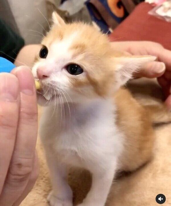 ミルクを飲む樂くん