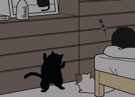 男の猫道 サムネイル