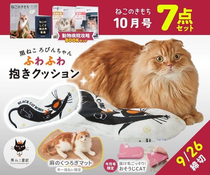 もち様　専用ページ もち様専用ページ もち様専用ページ もちさま専用ページ もちまる日記 公式