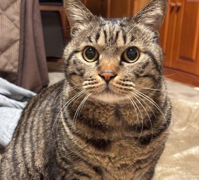 「ママに熱視線」な虎三郎くん