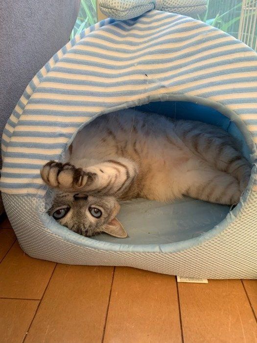 ハウスでまったり