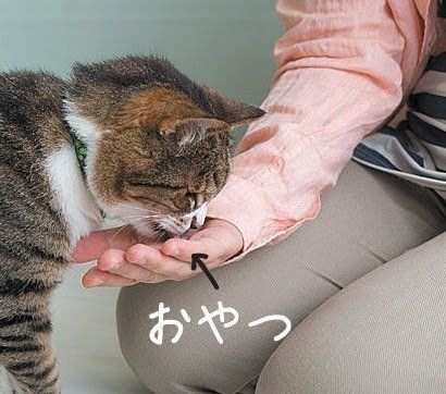 おやつ1