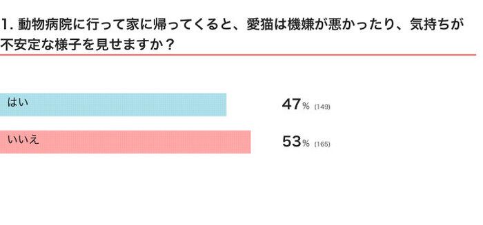 動物病院に行って家に帰ってくると、愛猫は機嫌が悪かったり、気持ちが不安定な様子を見せる?
