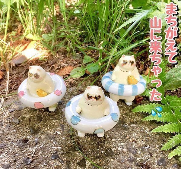 ボス猫軍団