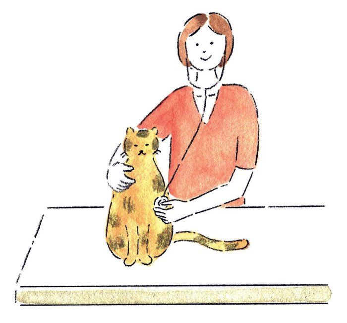 イラスト/みやしたゆみ