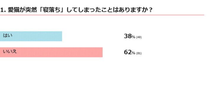 愛猫が寝落ちしたことはある？