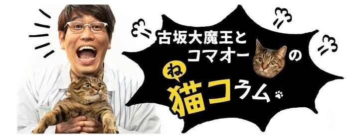 撮影/中川文作