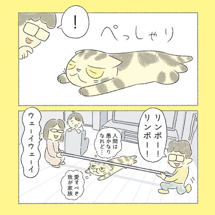 @tacos_cat