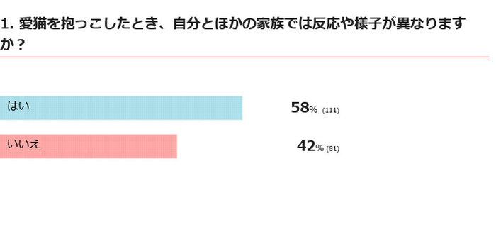 抱っこしたときの愛猫の反応は家族で違う?
