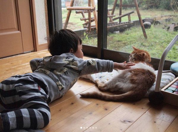 弟とあそぶ猫