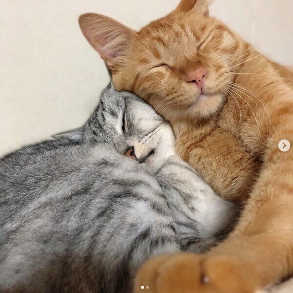 仲良しなビビちゃんとユズくん