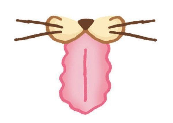 健康/異変のある猫の舌