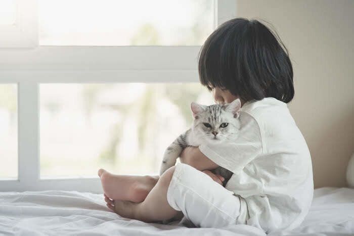 子供に抱きしめられる猫