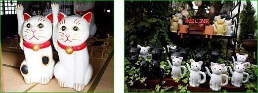 ねこのきもちWEB MAGAZINE
