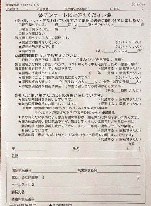 撮影/中川文作