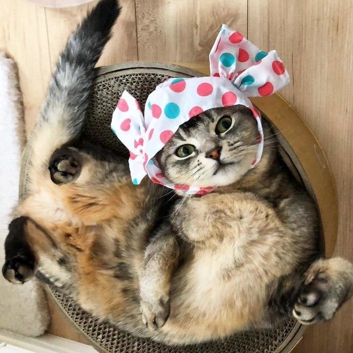 ミックス