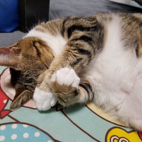 眩しそうなロビンちゃん